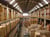 Warehouse and Distribution